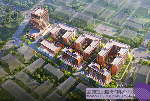 1699600801859196.jpg 2c.jpg